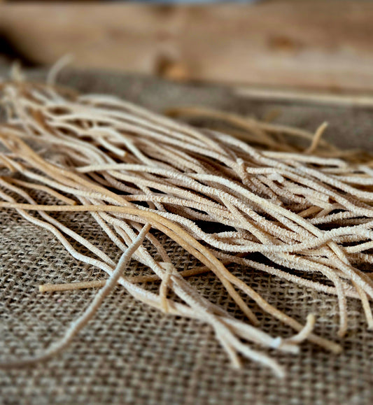 Organic Sprouted Sourdough Rye/ Khorasan Spaghetti